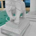 孝感 白麻花岗岩动物异形石雕-大象