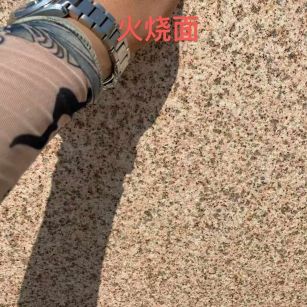 孝感黄金麻火烧面