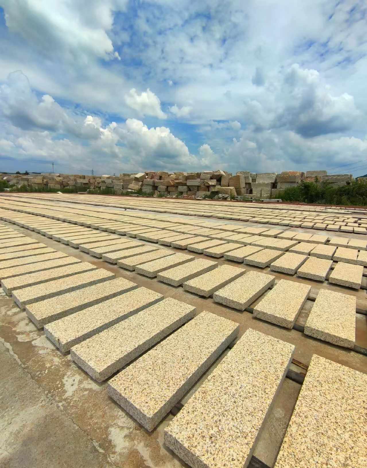 孝感 黄金麻荔枝面花岗岩石材地铺石防护中