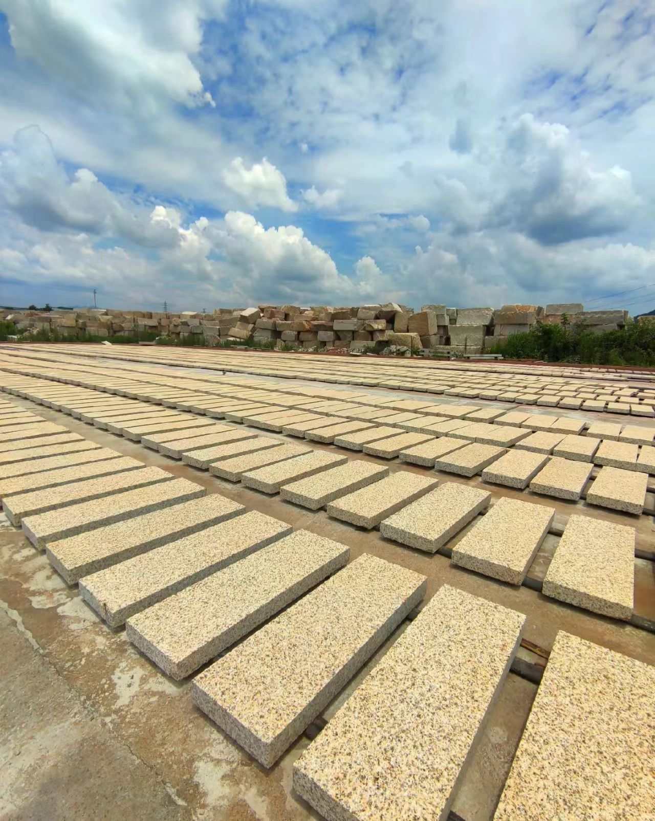 孝感 黄金麻花岗岩荔枝面地铺石防护中