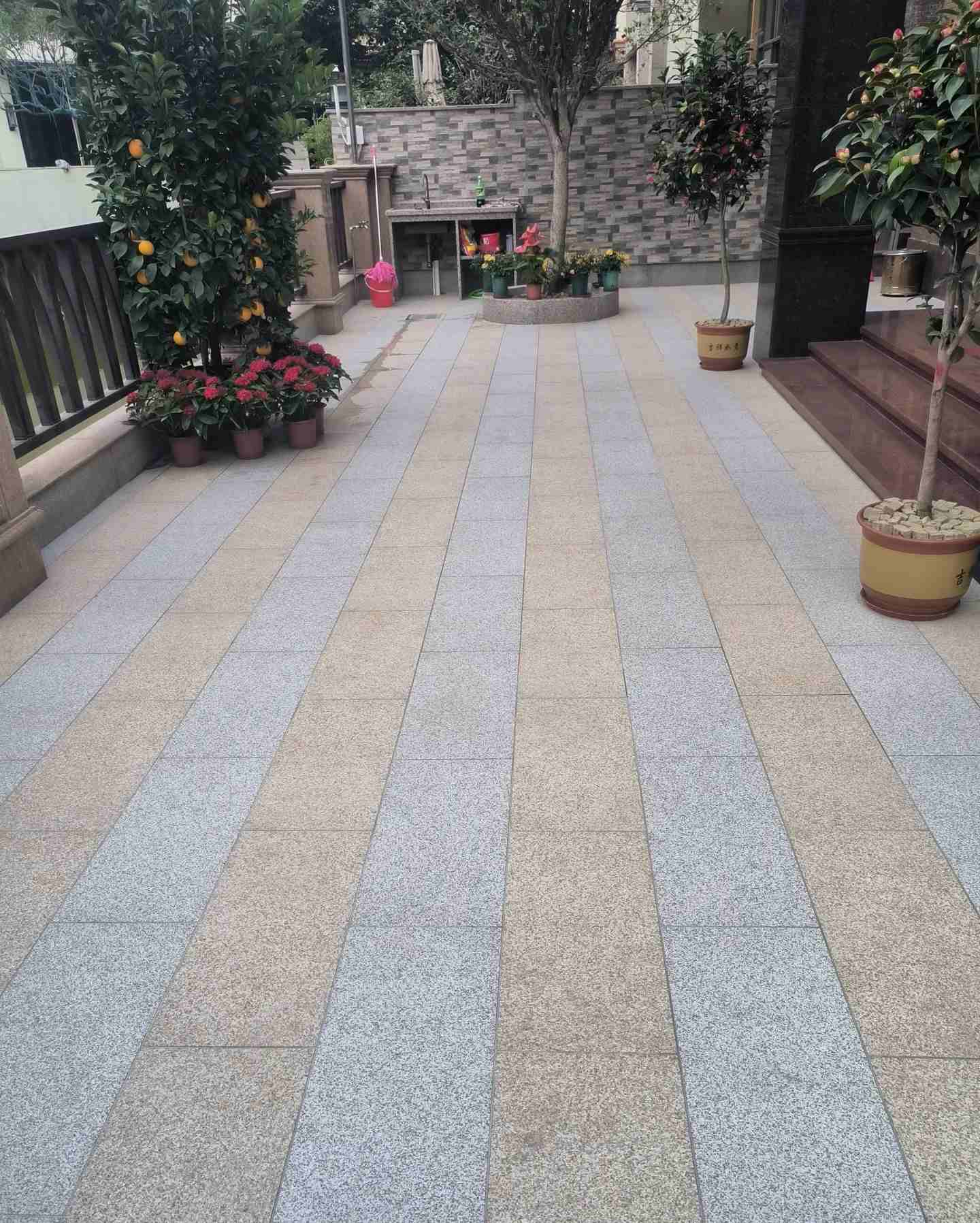 孝感 黄金麻白麻荔枝面庭院铺装展示